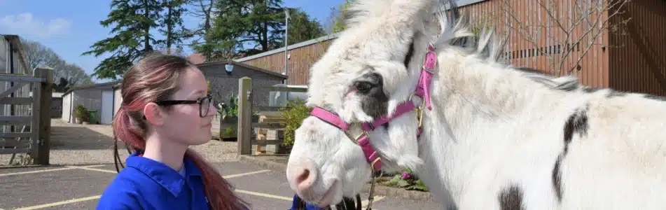 City & Guilds Level 2 Technical Certificate in Equine Care - student with horse